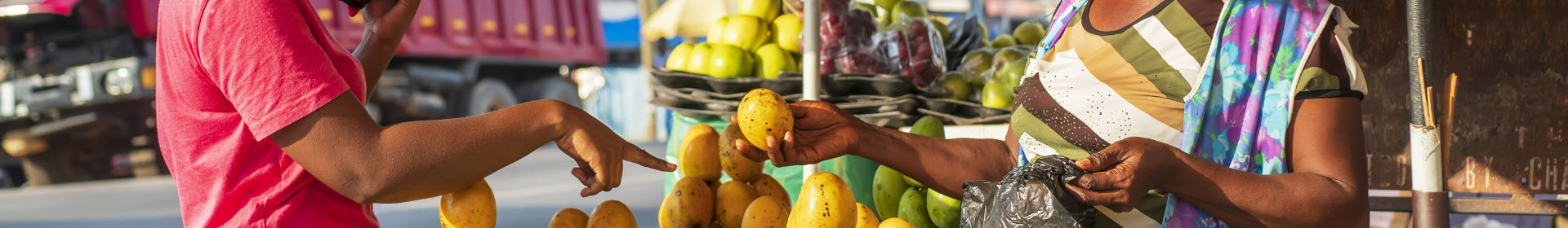 Jamaica Survey of Living Conditions