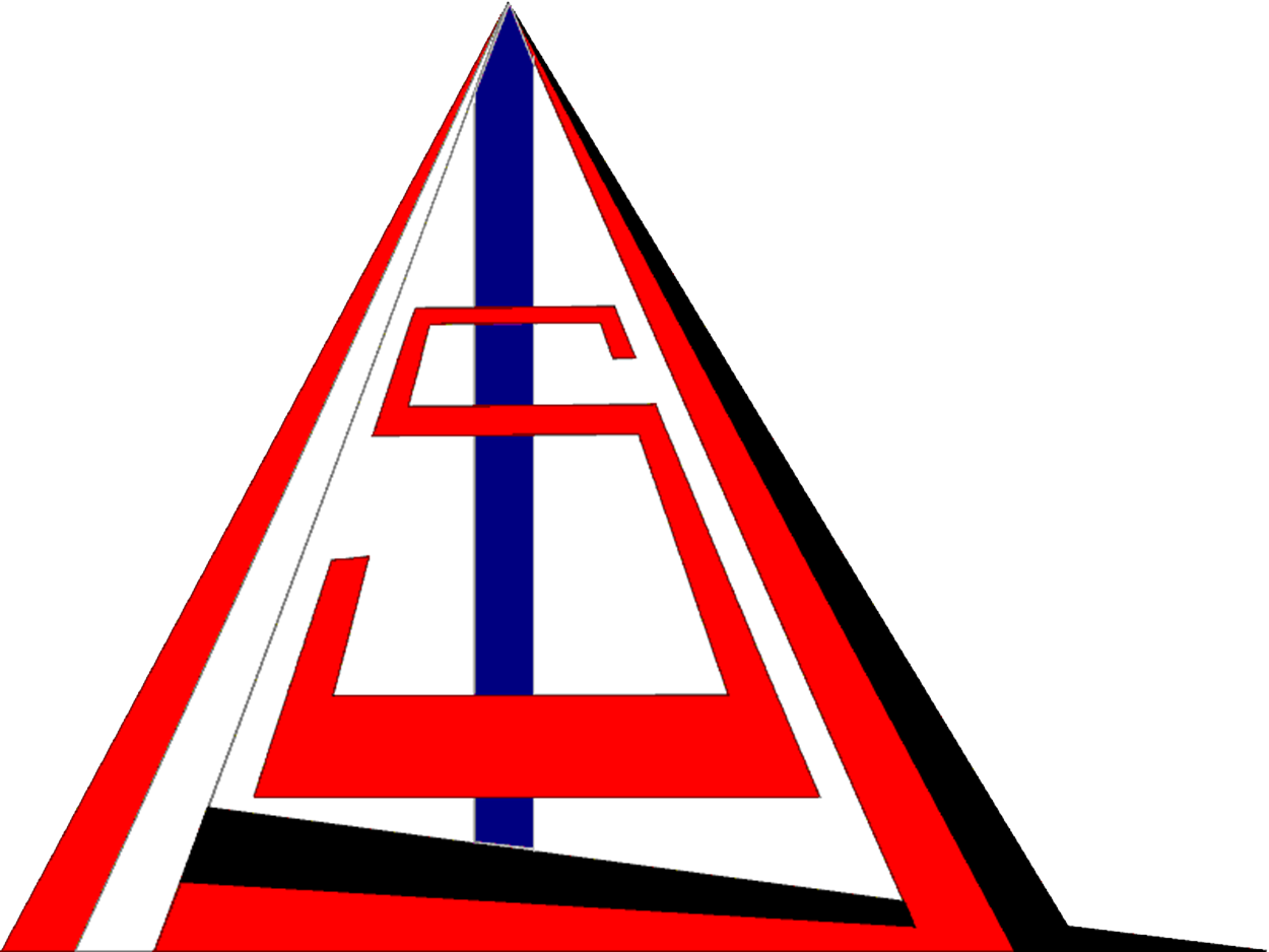 STATIN logo